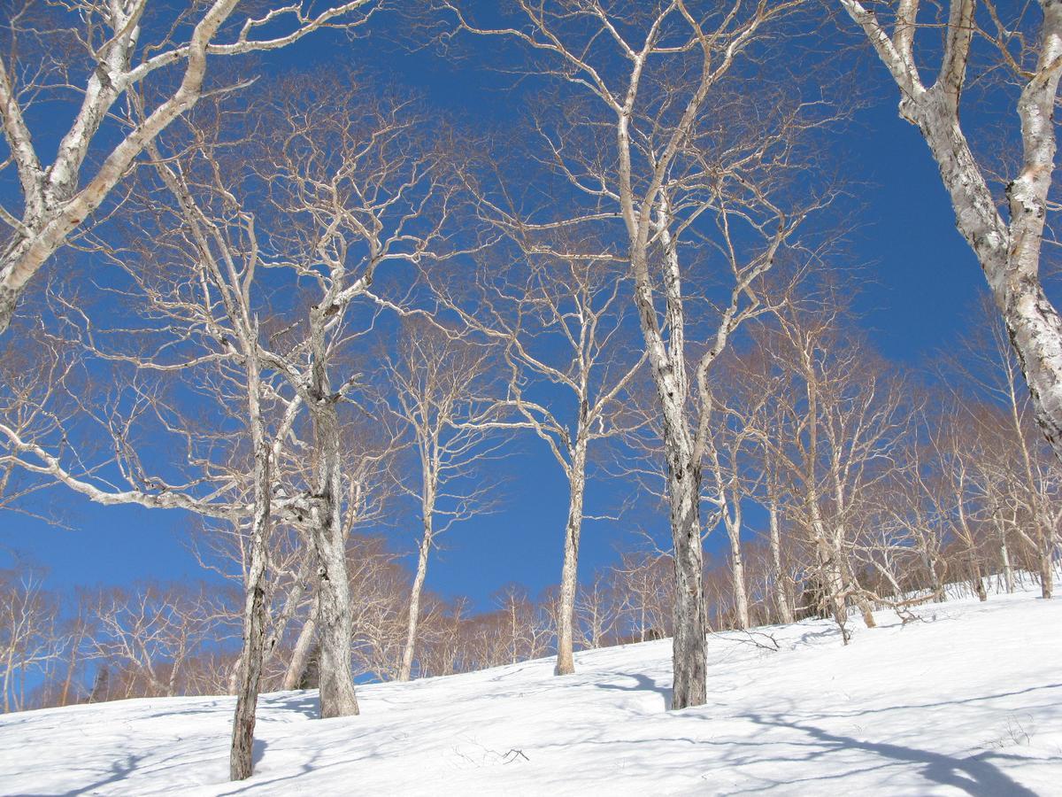 Resort Project Myoko Kogen Exterior photo